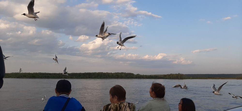 Photograph by Николай Цыпандин