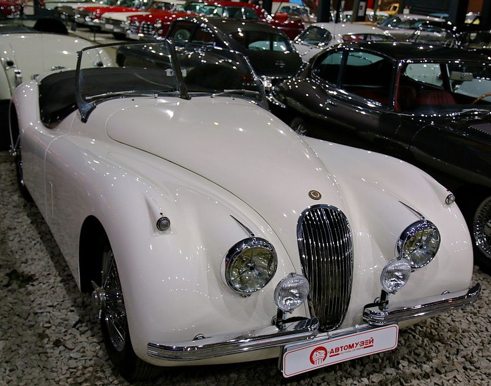 Фотография автора АЛЕКСАНДР ЦЫГЕЛЬНЮК