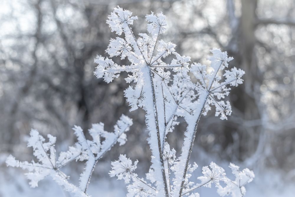 Photograph by Irina Luidinshina