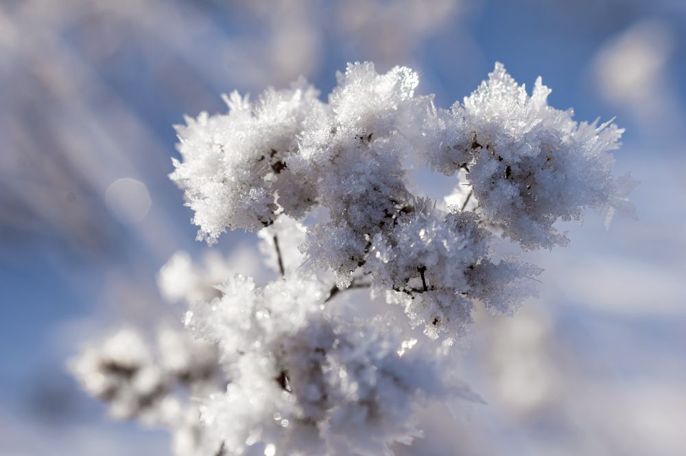 Photograph by Irina Luidinshina