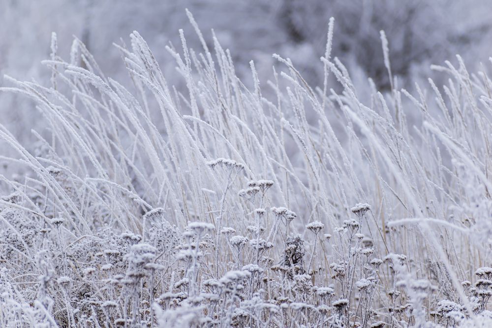 Photograph by Irina Luidinshina