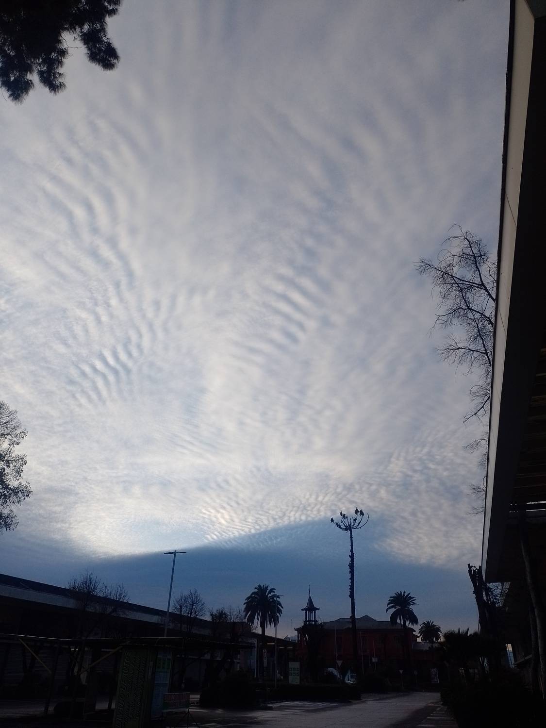 Photo #9486855