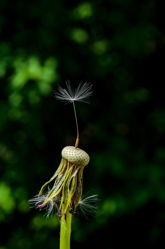 Photograph by Любовь Бусова