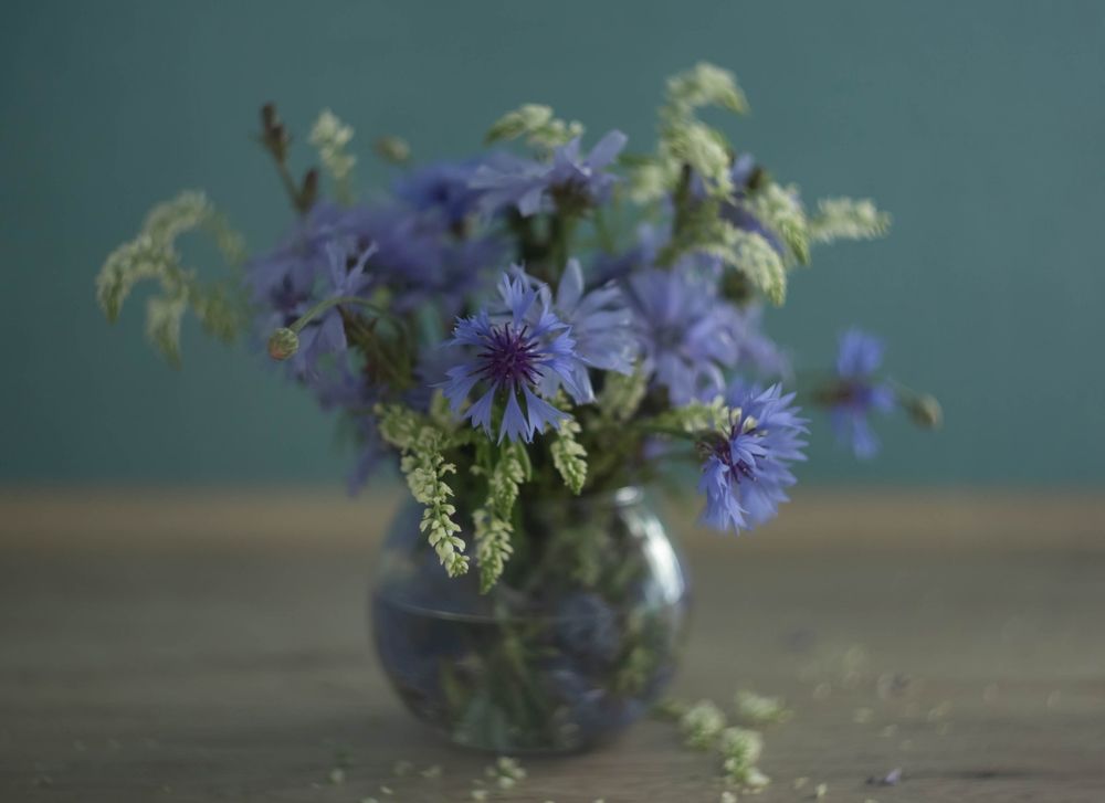 Photograph by Елена Хорохорина