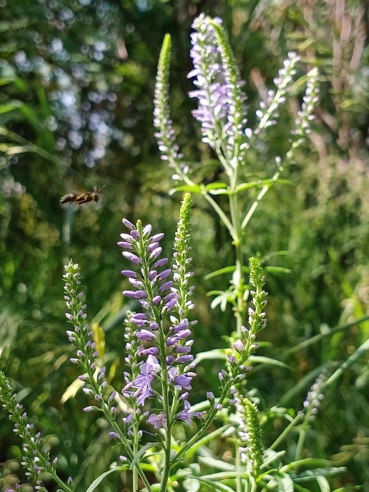 Photograph by Светлана Пилипенко