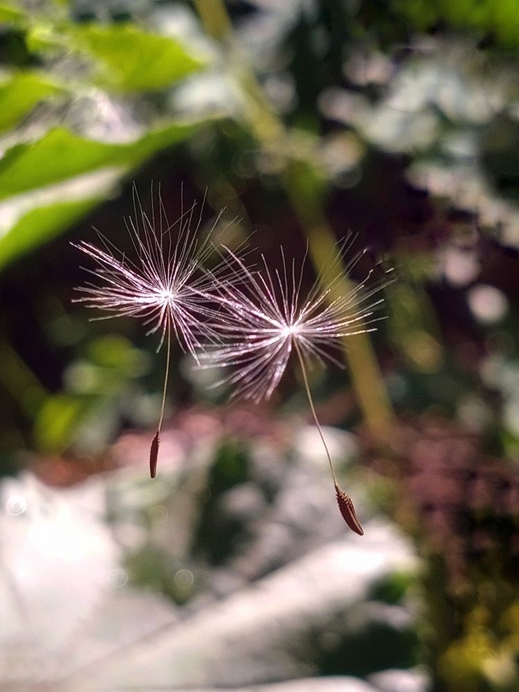 Photograph by Светлана Пилипенко