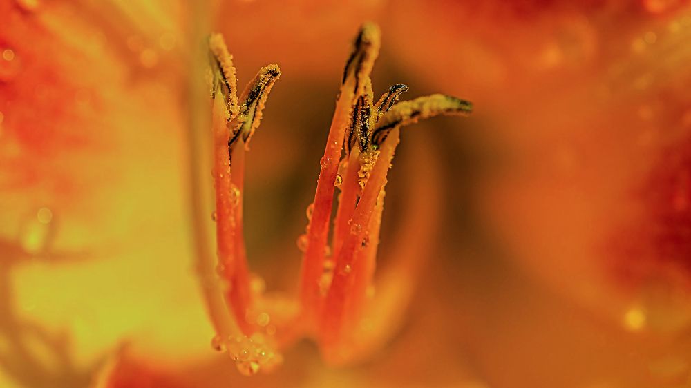 Photograph by Андрей Калинин