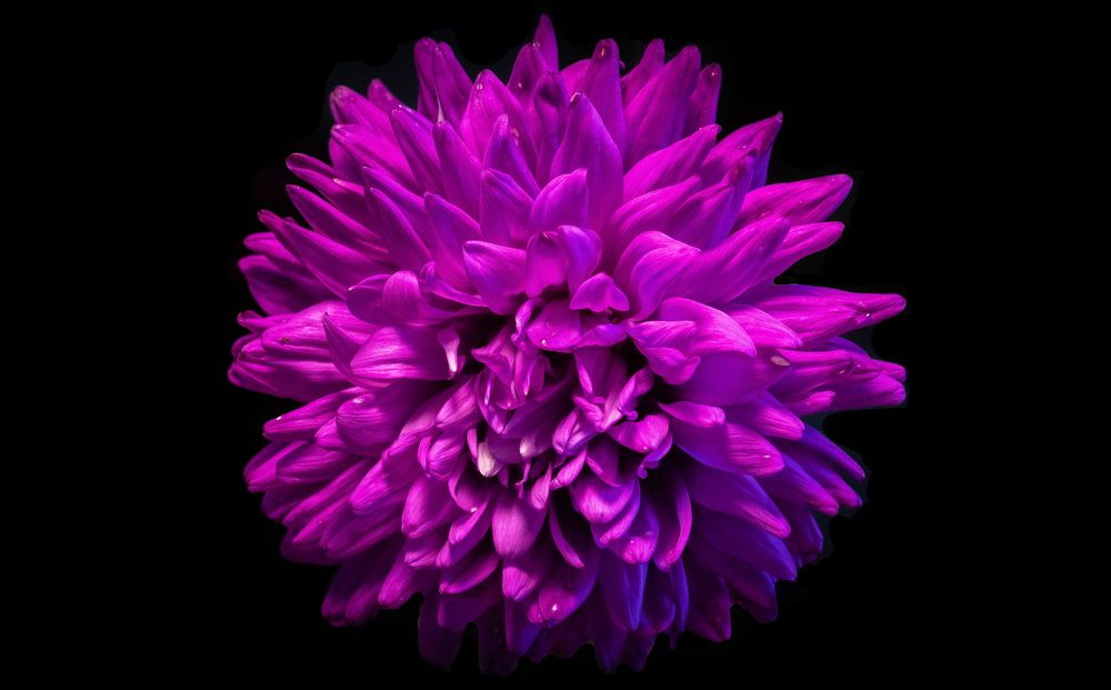 Photograph by Андрей Калинин