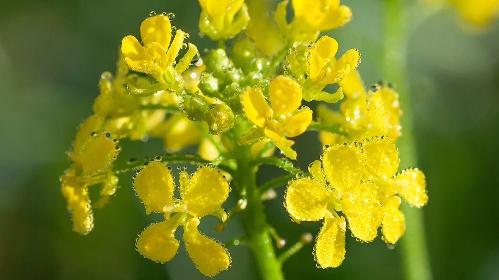 Photograph by Андрей Калинин