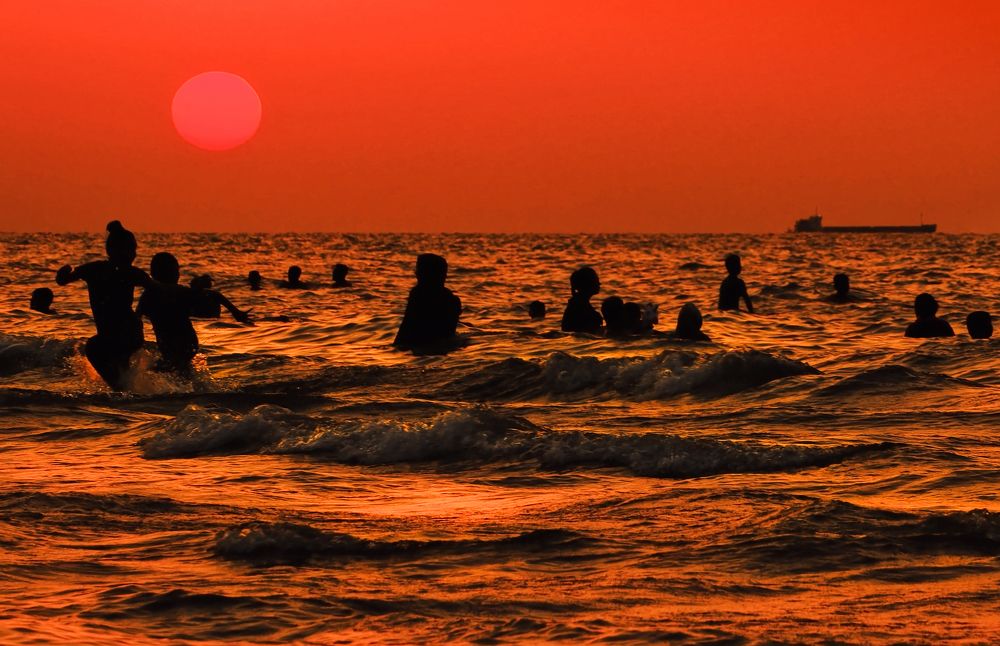 Фотография автора Jafar Zavvar