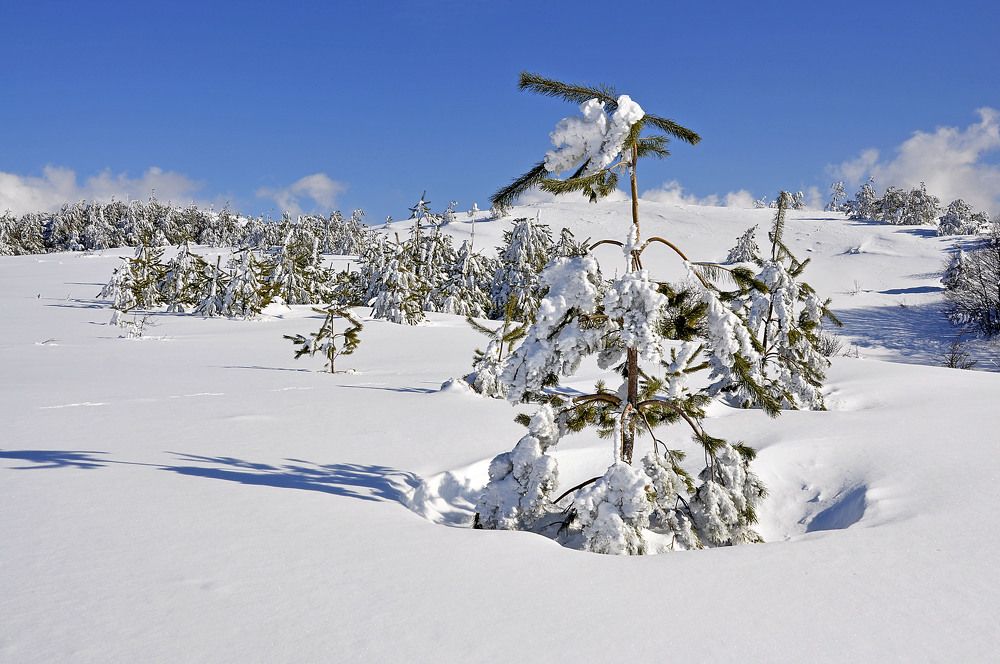 Photograph by Евгений Самулев