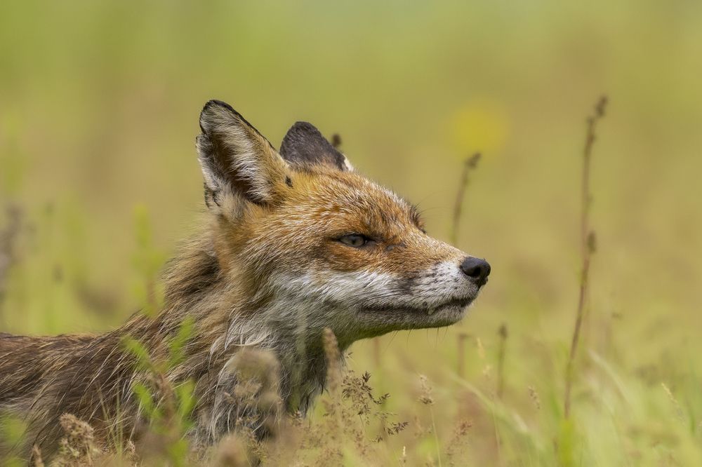 Photograph by Ernestas Balcikonis