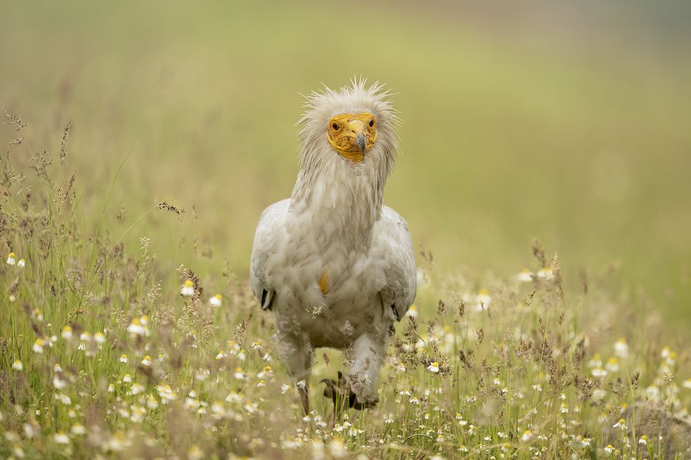 Photograph by Ernestas Balcikonis