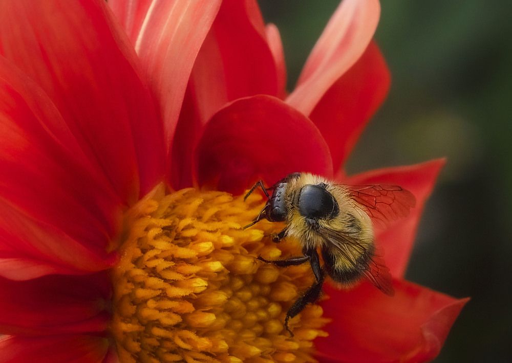 Photograph by Юлия Лушникова