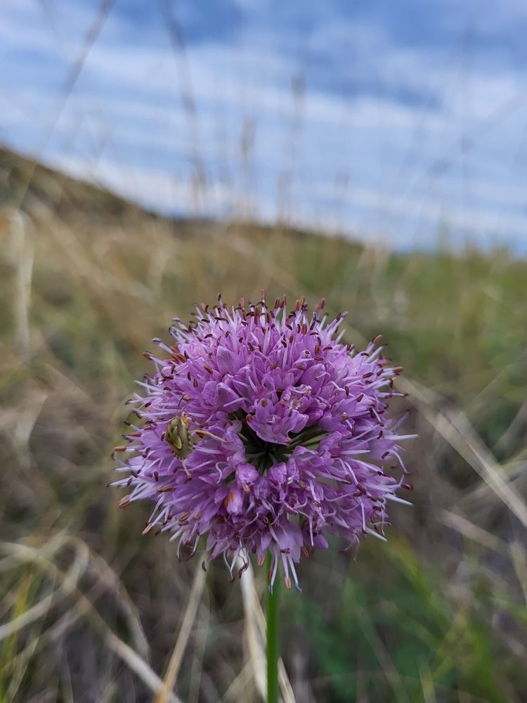 Photograph by Надежда Панкратова