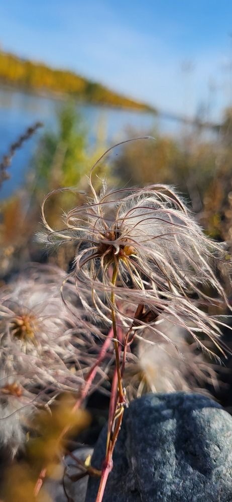 Photograph by Надежда Панкратова