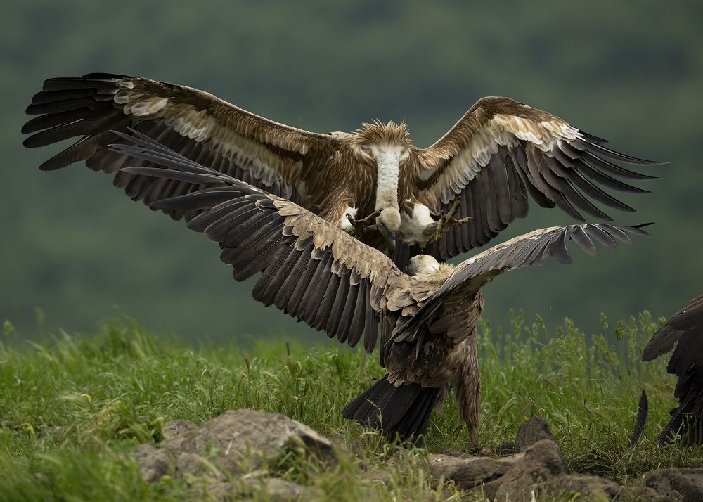 Photograph by Ernestas Balcikonis