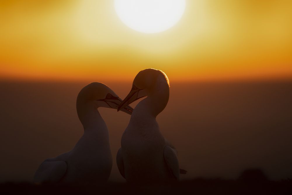 Photograph by Ernestas Balcikonis