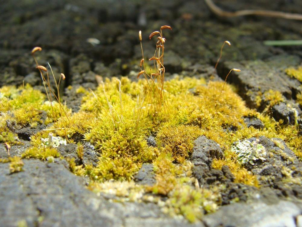 Фотография автора Павел Попов