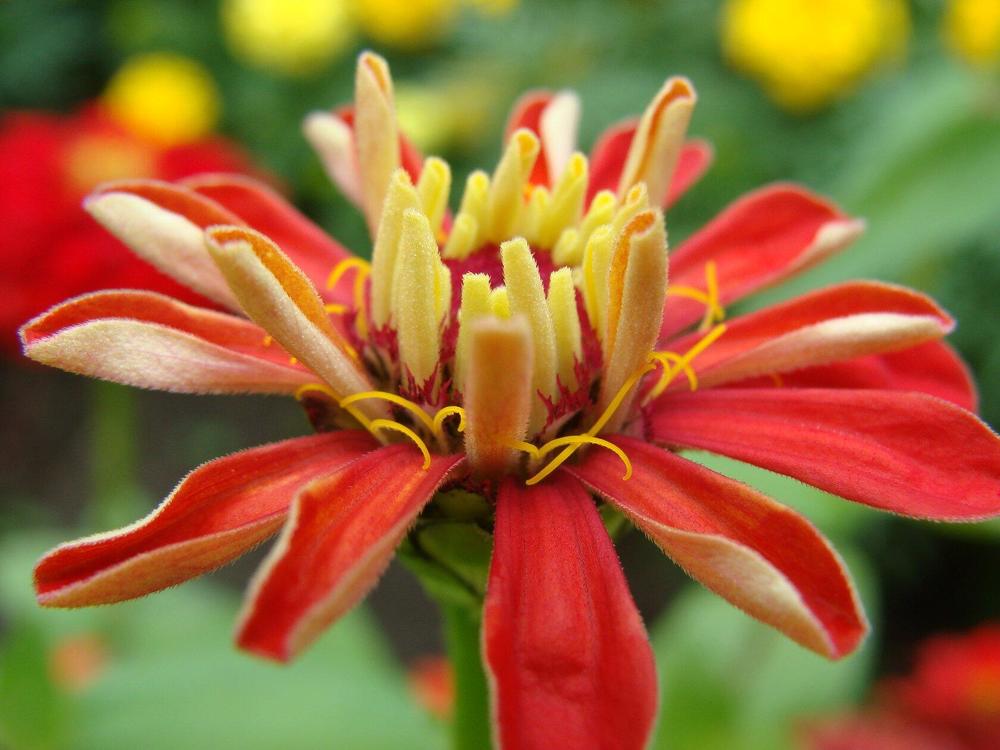 Фотография автора Павел Попов