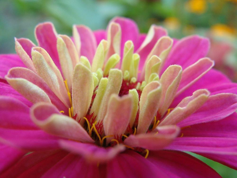 Фотография автора Павел Попов