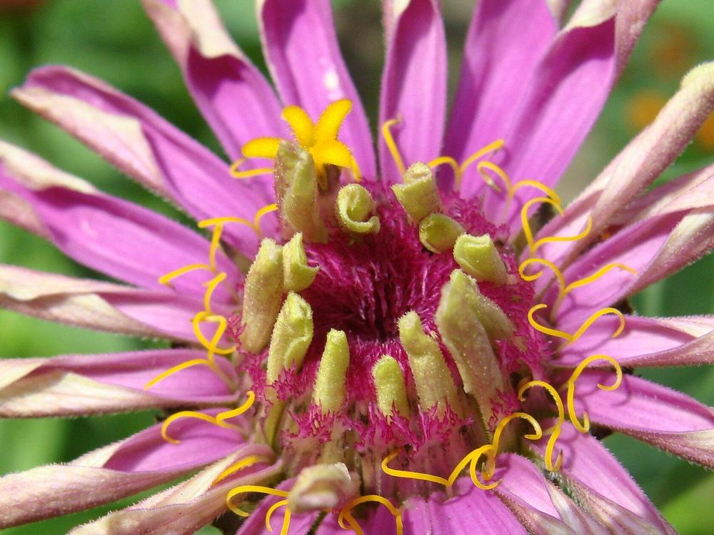 Фотография автора Павел Попов