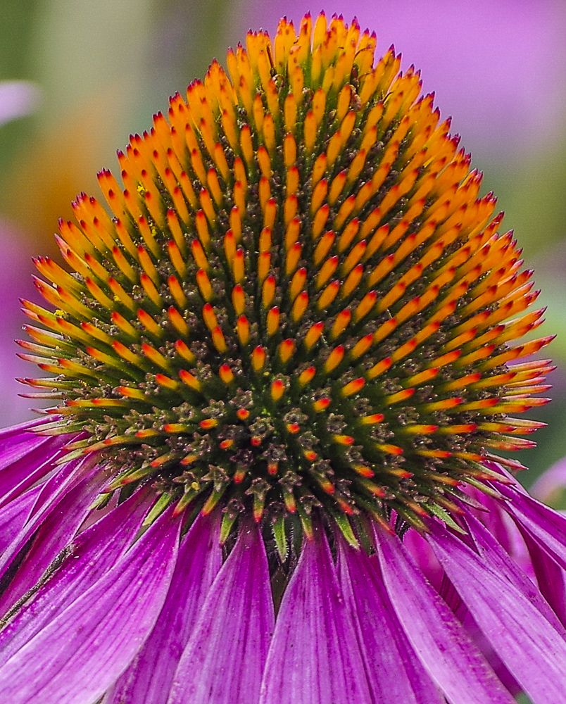 Photograph by Михаил Измайлов