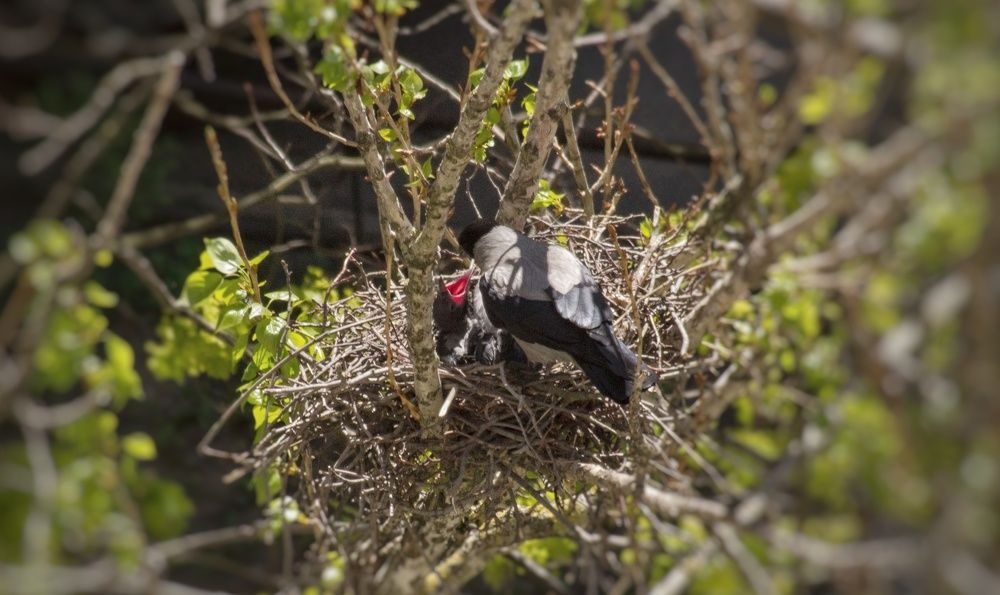 Photograph by Ольга Левакова