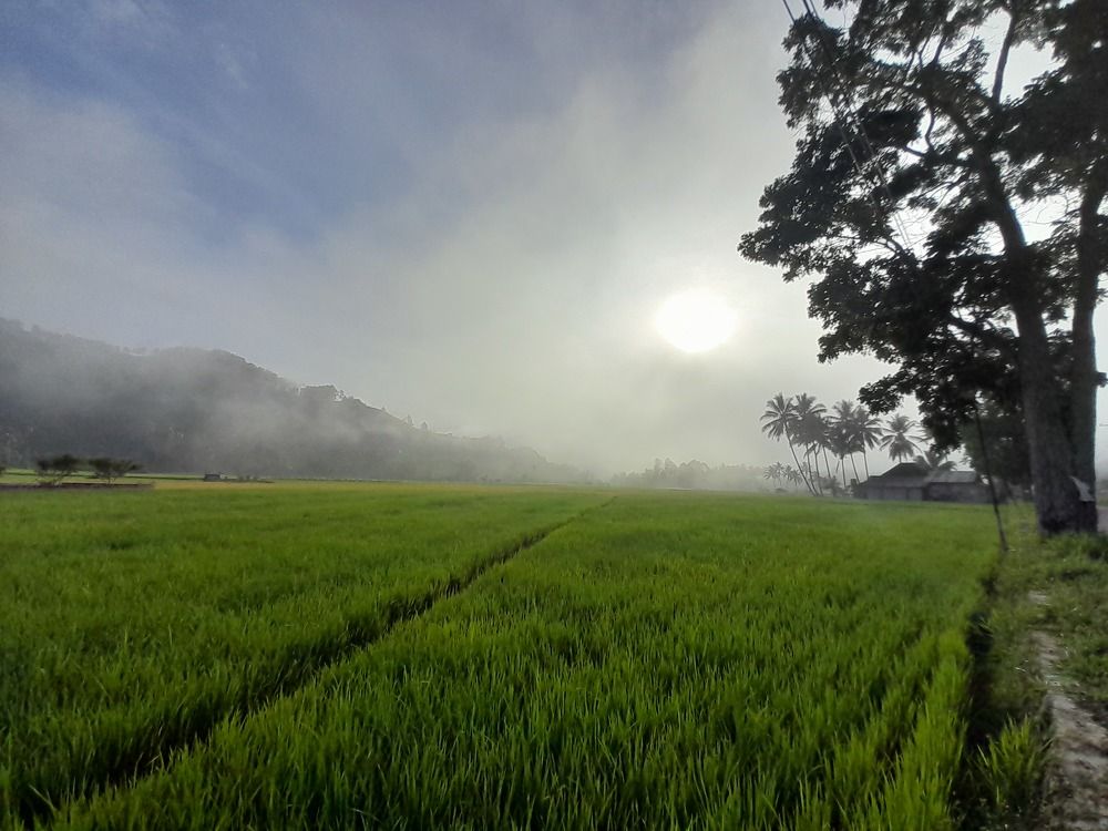 The White Sunrise With Beautyful Scenery
