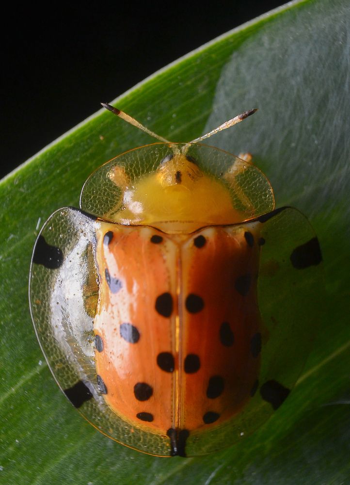 Photograph by Kasun Wickramasinghe