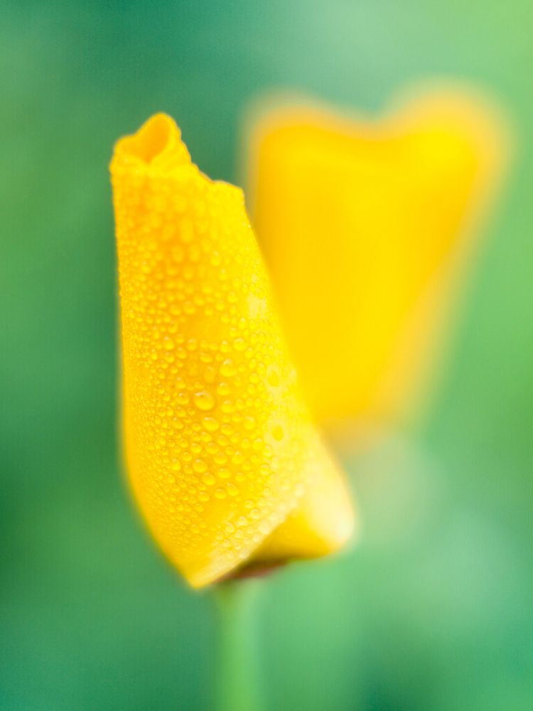 Фотография автора Дмитрий Хань