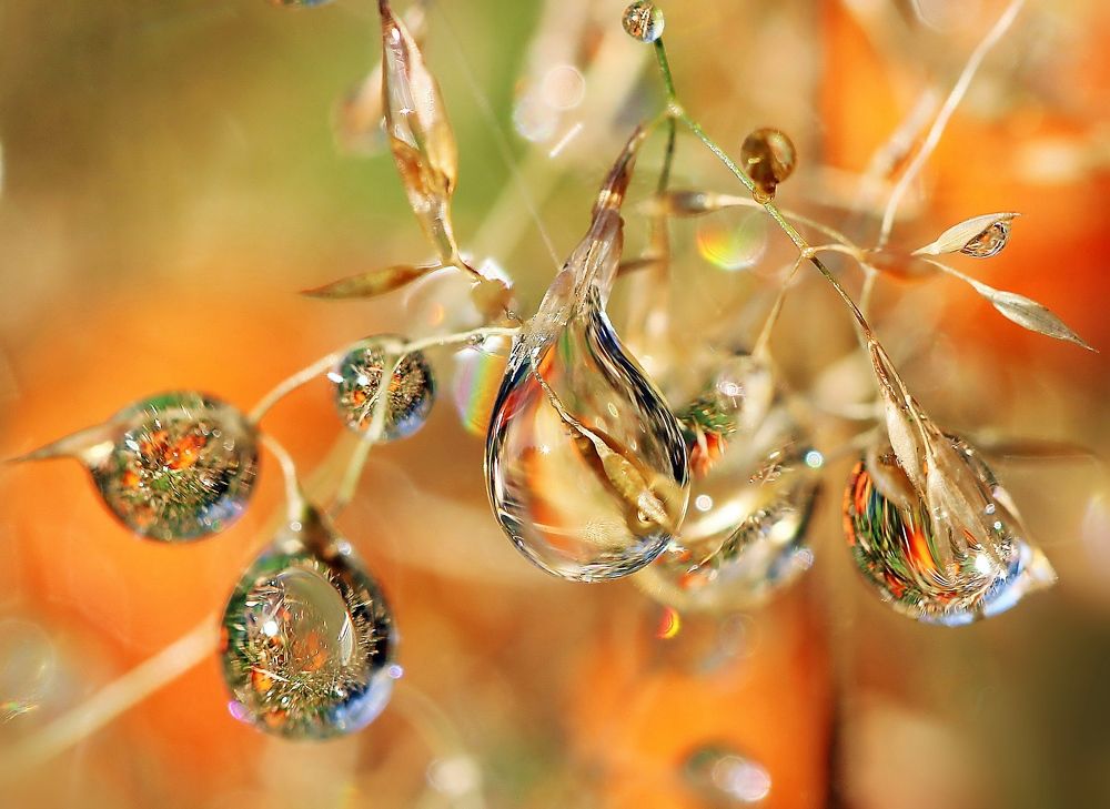 Photograph by Любовь Саханова