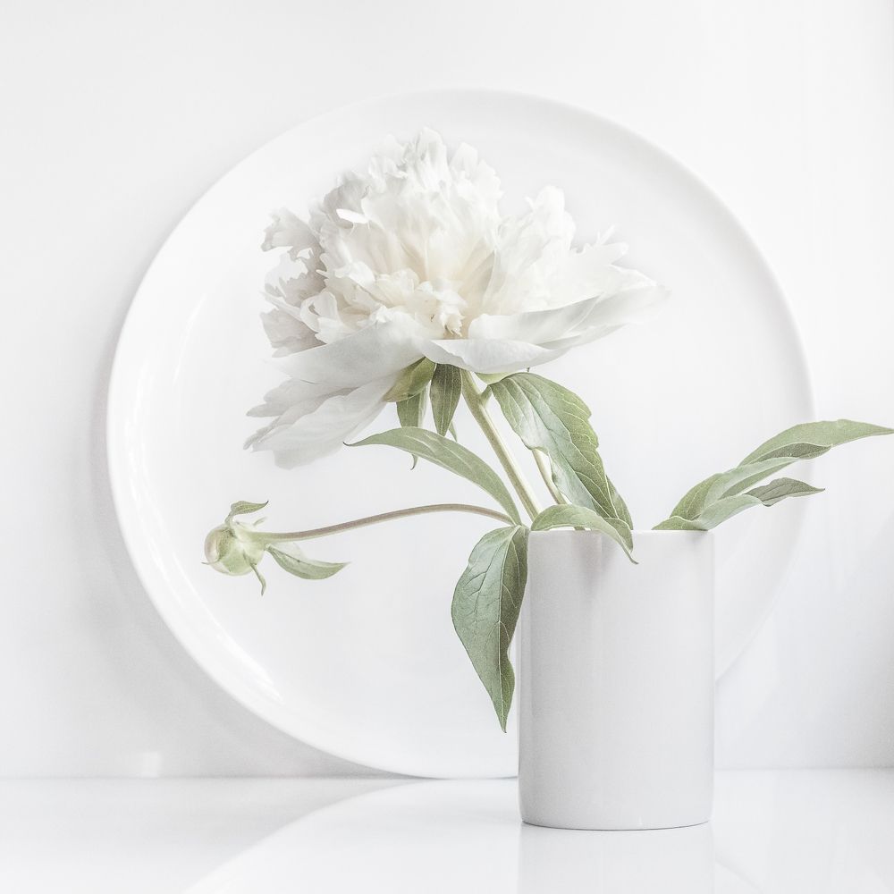 Photograph by Татьяна Макотра