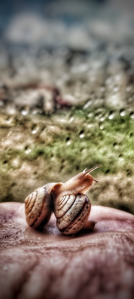 Photograph by Валентин Волк