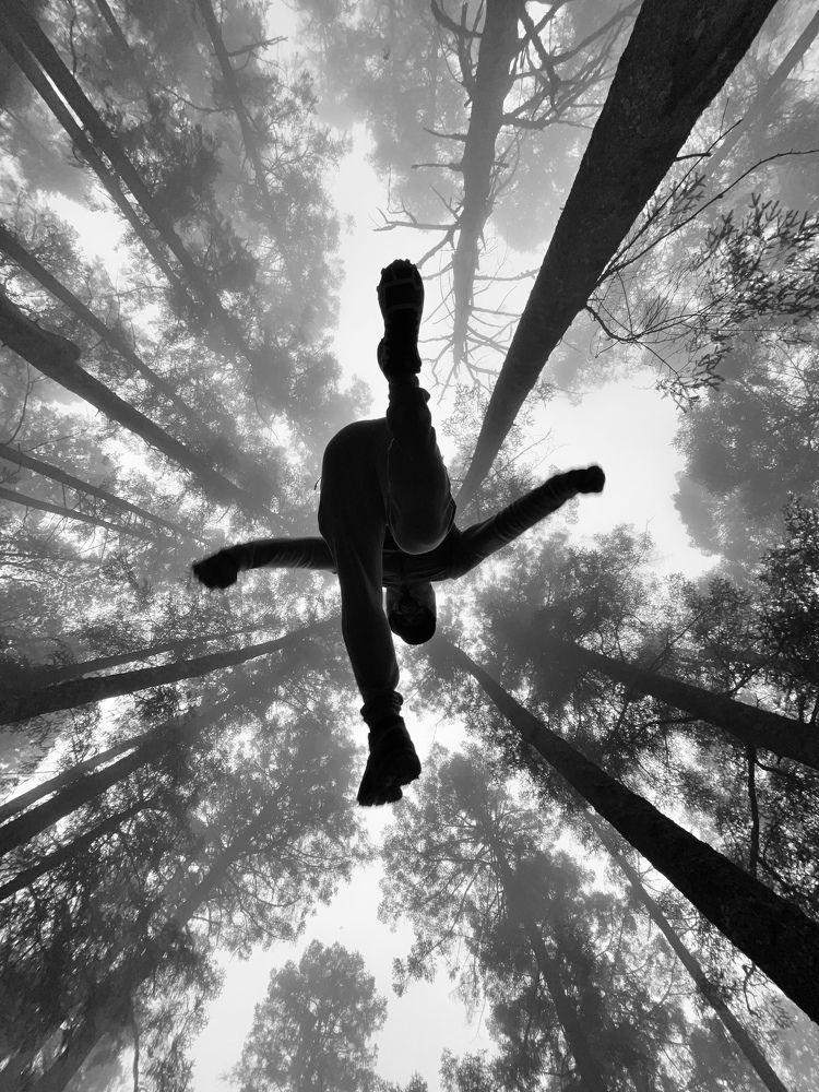 Photograph by José Fernando Martínez Contreras