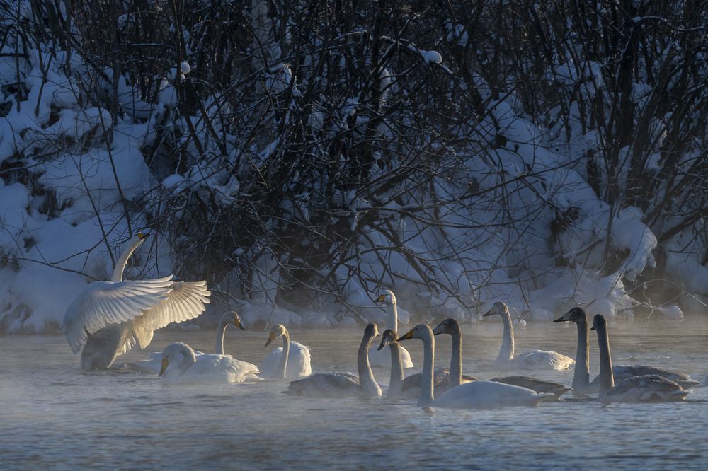 Photograph by Евгений Санин