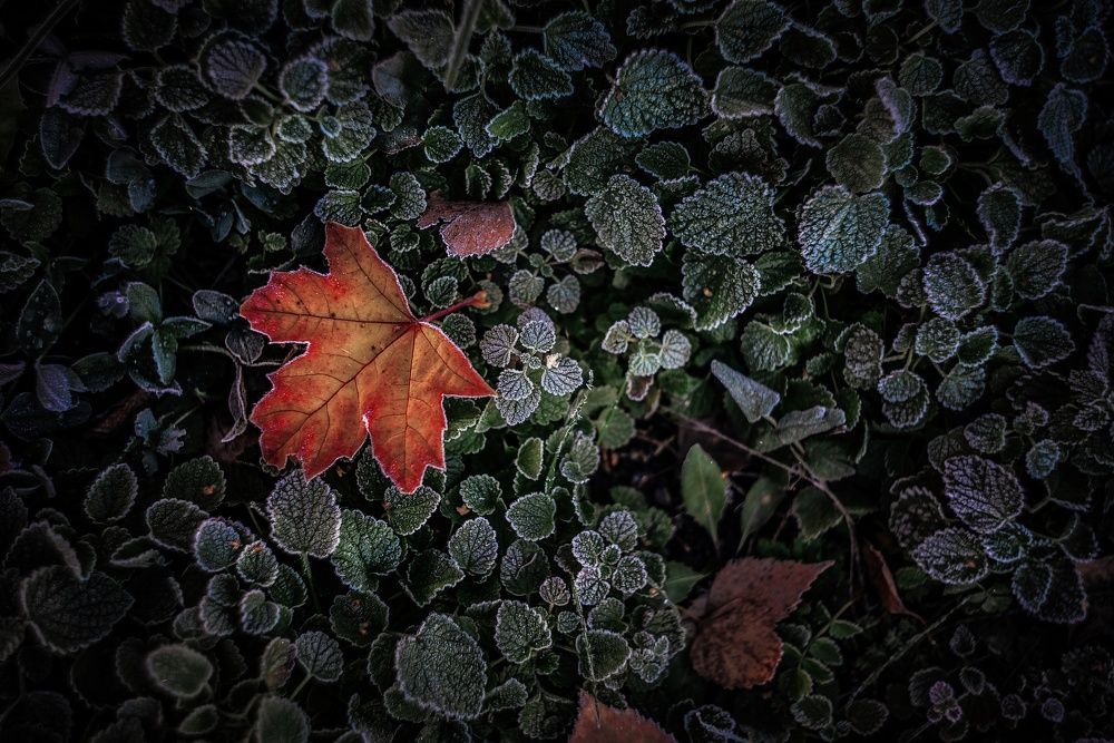 Photograph by Лапшина Владлена