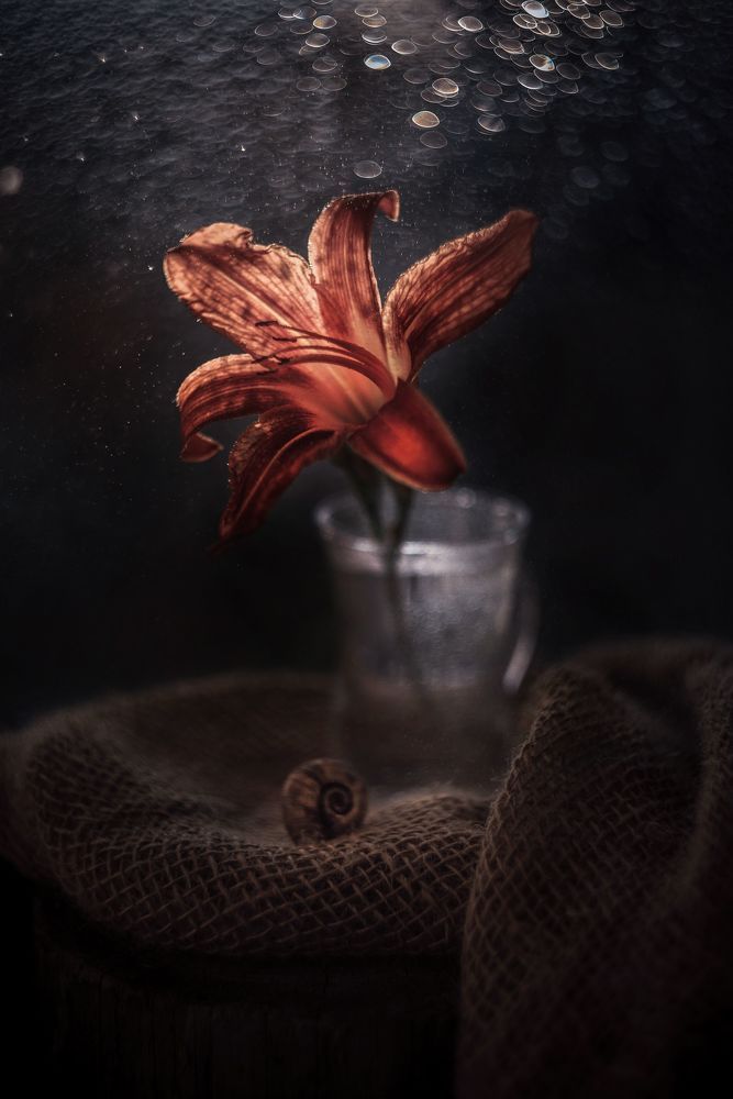 Photograph by Лапшина Владлена