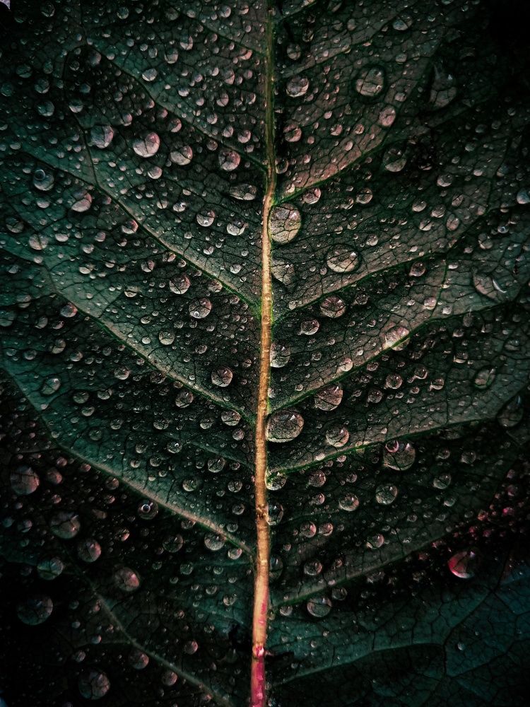 Photograph by Лапшина Владлена