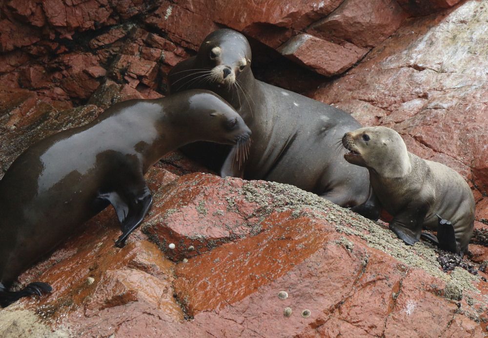 Photograph by Валентина Лопаткина