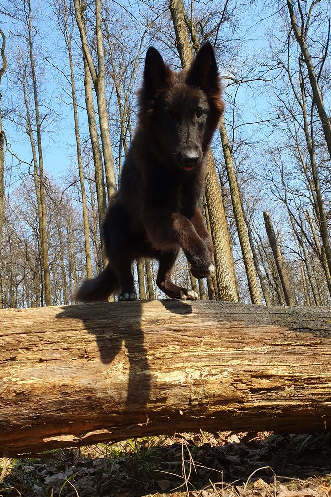 Фотография автора Надежда Лисицына