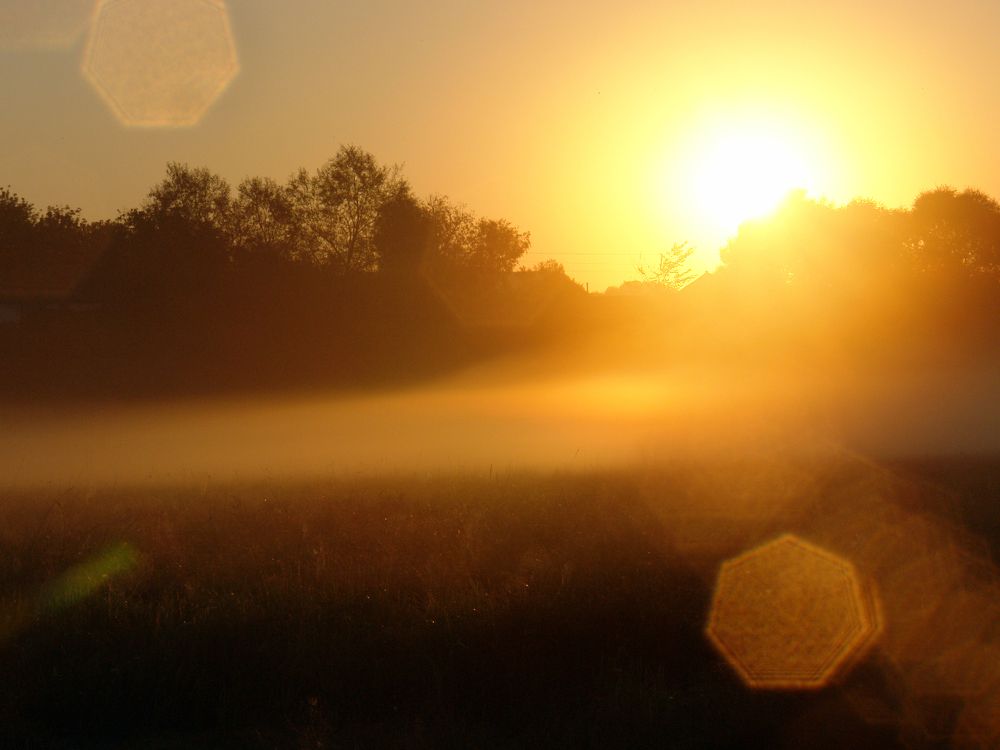 Photograph by Игорь Шевердин