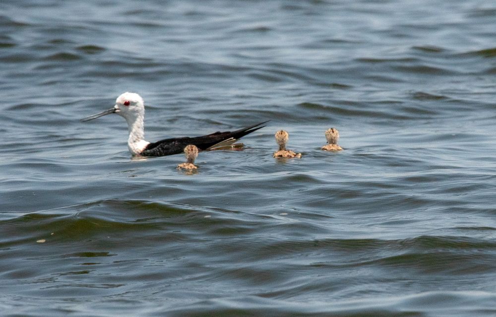 Photograph by Satish Nerlekar