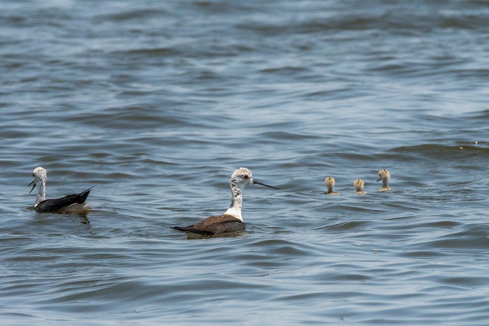 Photograph by Satish Nerlekar