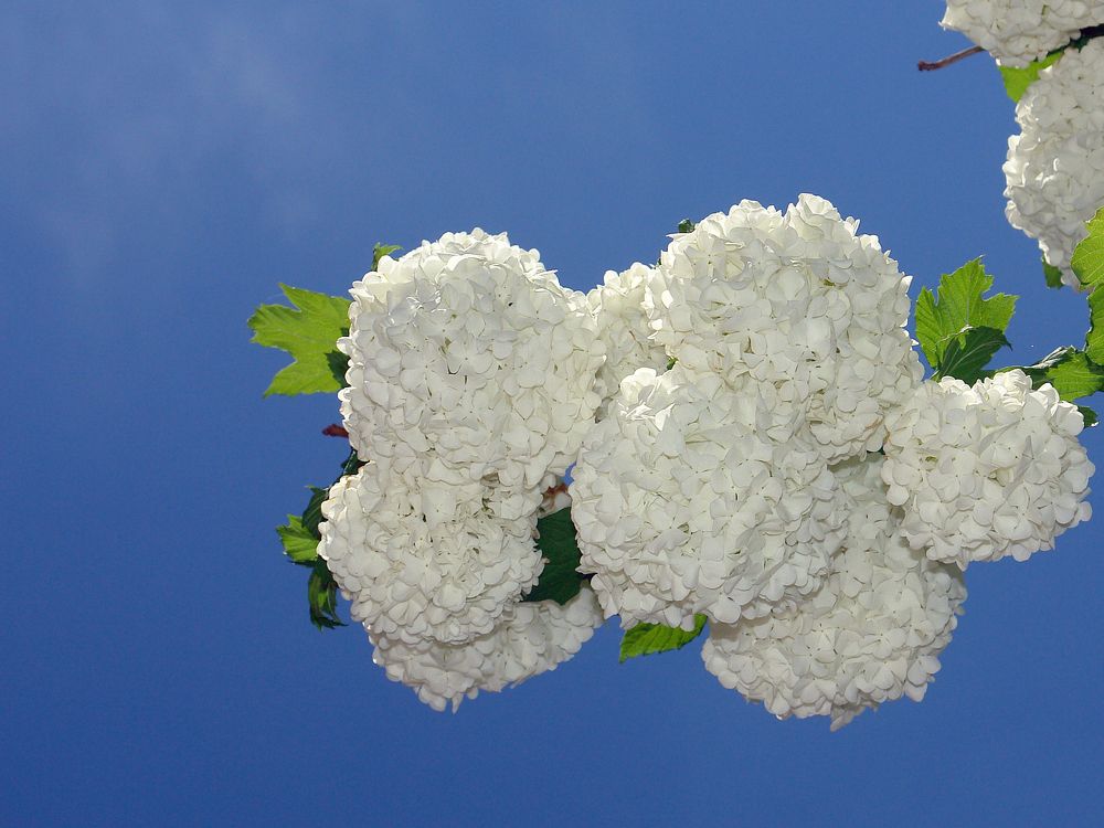 Photograph by Игорь Шевердин