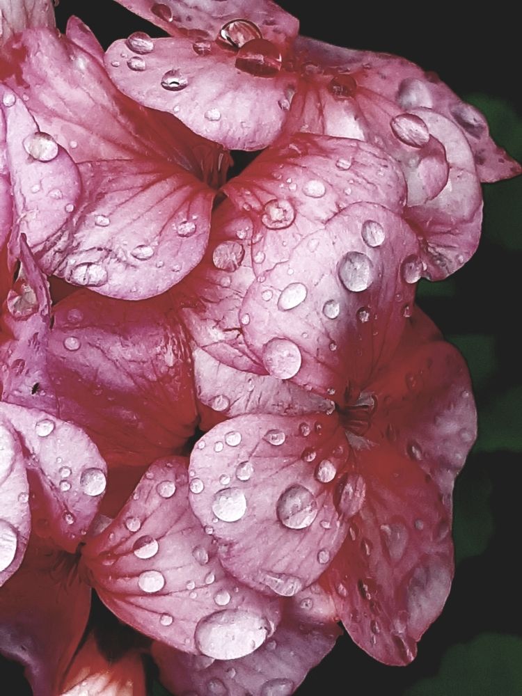 Photograph by Olga Александрова