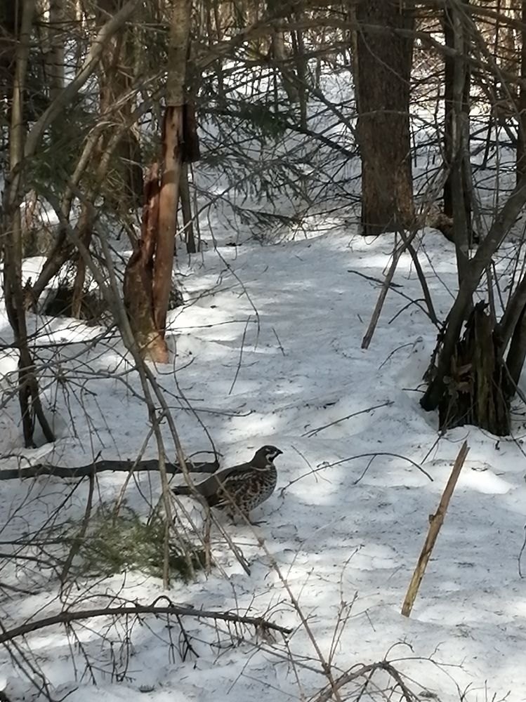 Photograph by Галина Смирнова