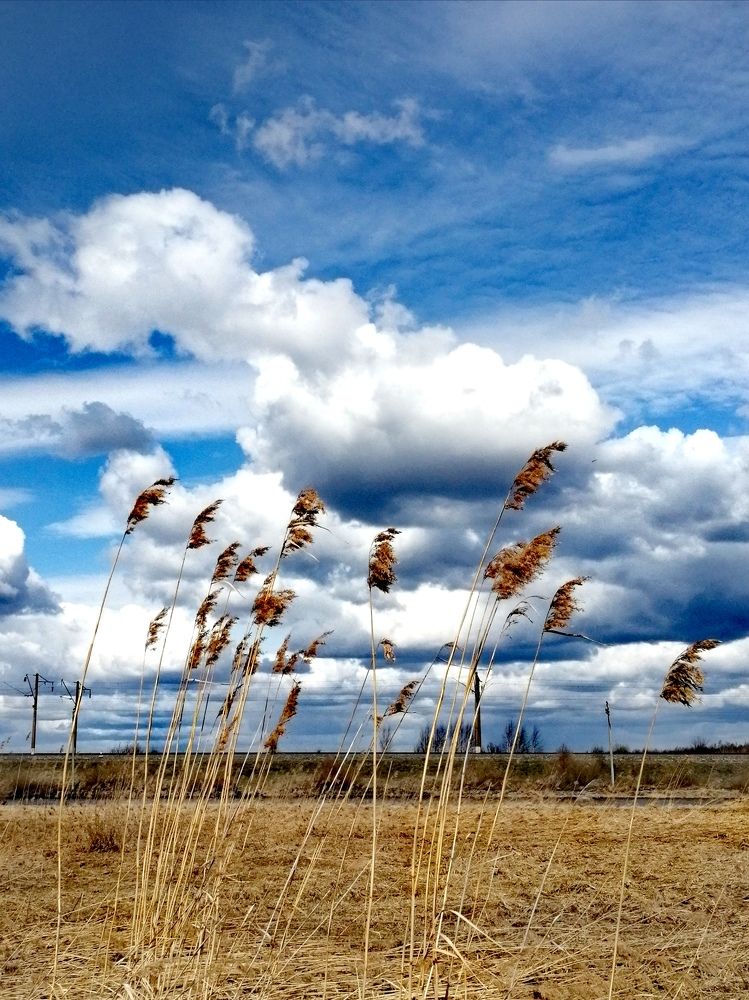 Photograph by Галина Смирнова