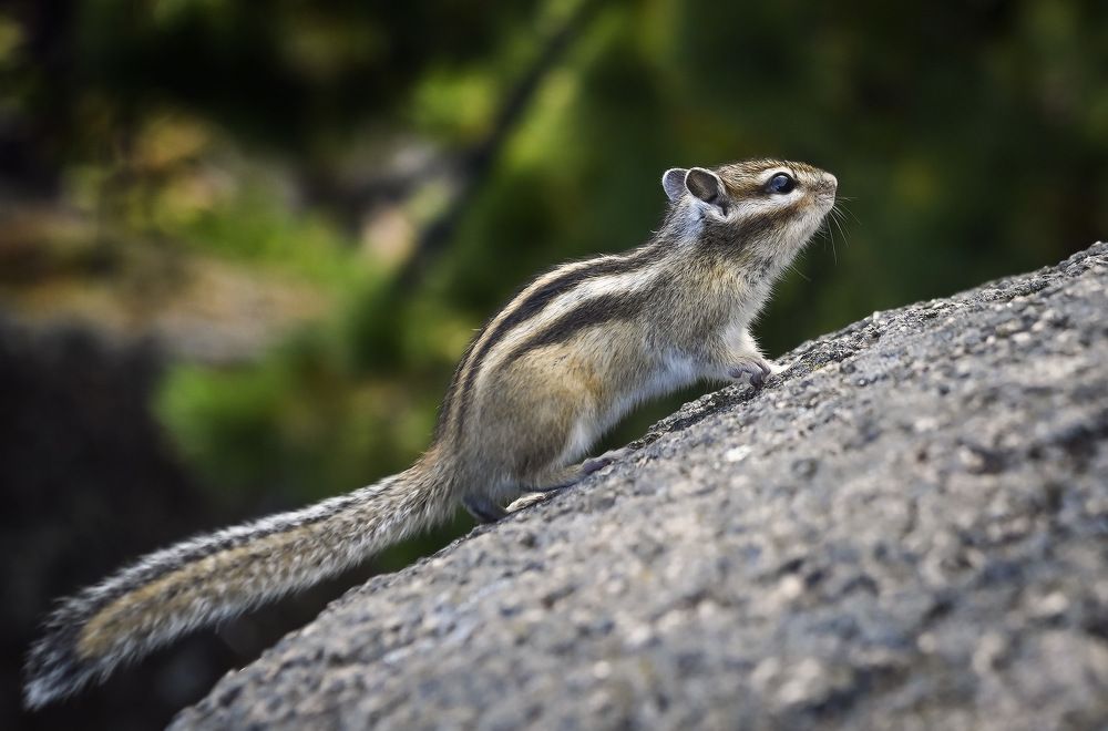 Photograph by Пирог Борис