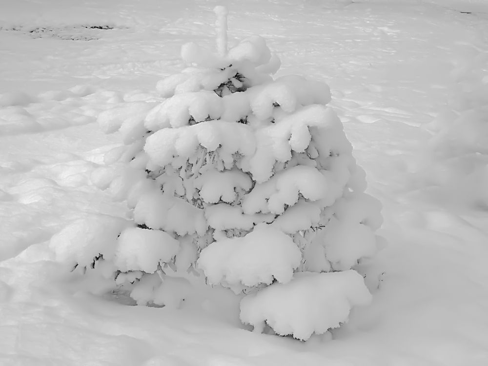 Зимний наряд от снежной королевы